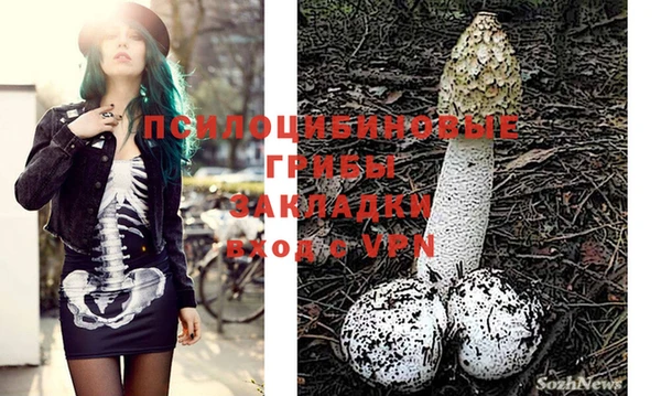 мяу мяу мука Наволоки