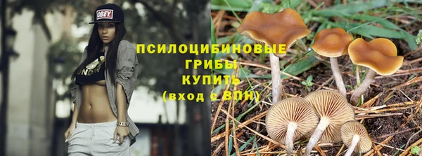 гидропоника Нея