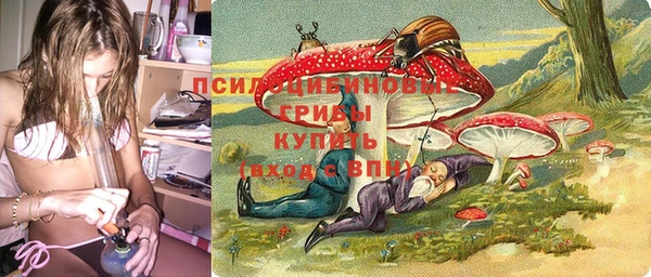 гидропоника Нея
