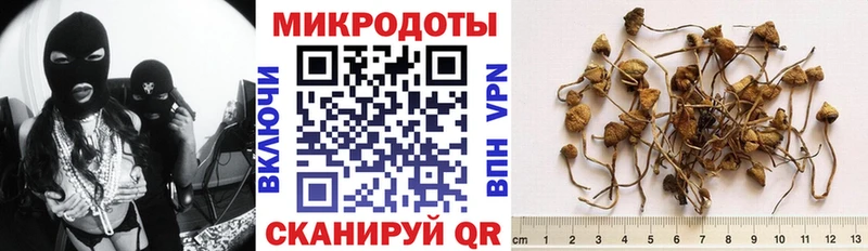 Псилоцибиновые грибы мухоморы  где купить наркоту  Палласовка 