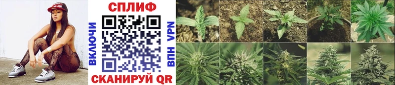 Шишки марихуана White Widow  omg ONION  Палласовка  где можно купить  